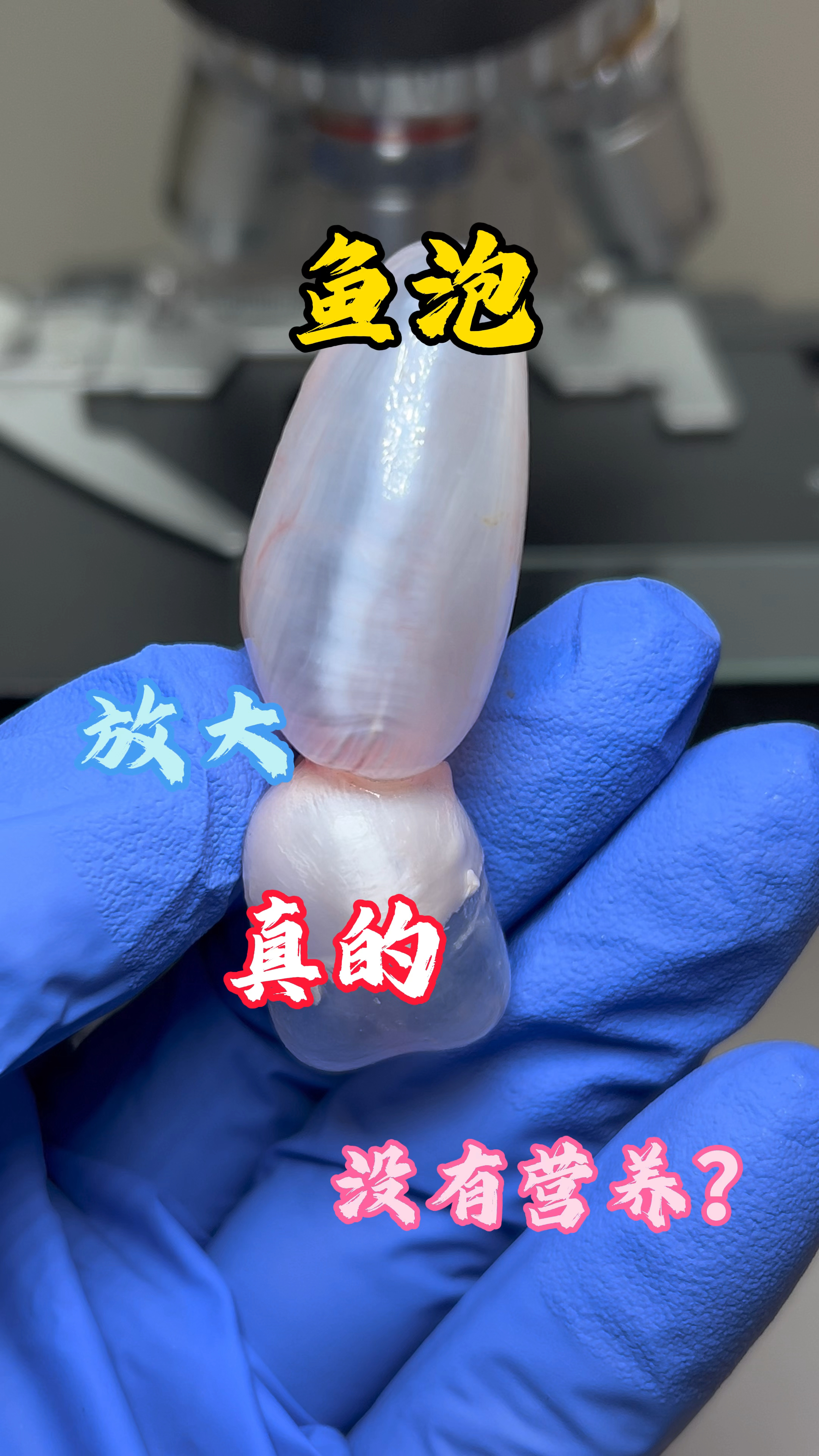 鱼泡真的没有营养吗#鱼泡 #显微镜下的世界 #科普一下#微观世界