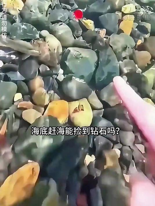 已修改,海底赶海捡到红宝石,今天收获的龙虾,海参,墨鱼,海螺等看看能赚多少钱?