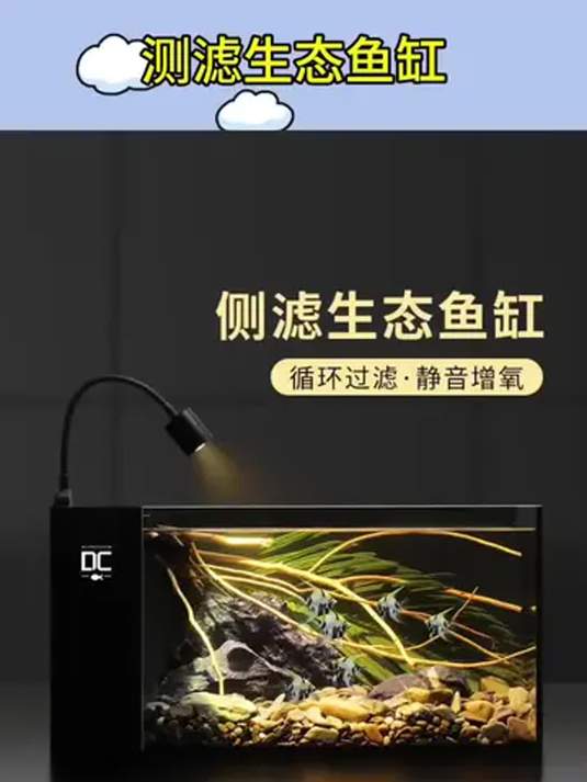 新款侧滤鱼缸 南美风生态 打造家用精美水景