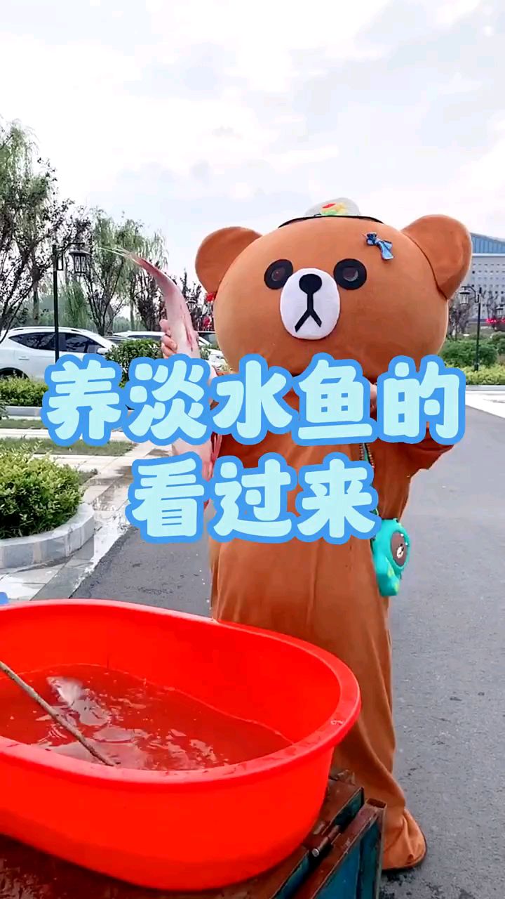 养淡水鱼的,看这里了啊