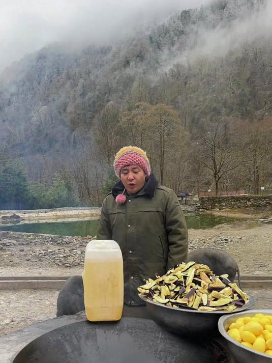 年底苦点累点不怕!炖锅家常焖菜给兄弟,茄子土豆豆角香到心尖上