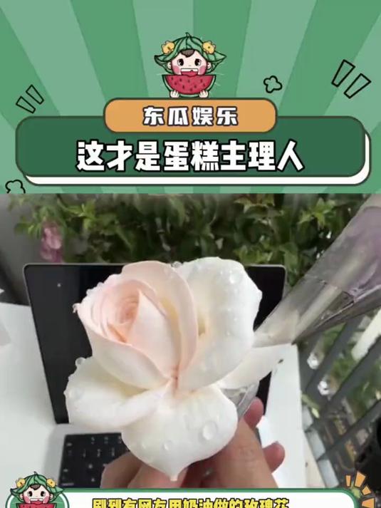 这才是蛋糕主理人