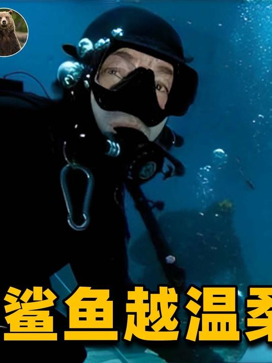 “烤箱手套”会吃人?真正会吃人的鲨鱼,居然长得那么可爱?