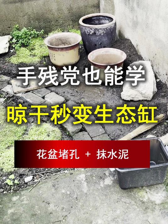 手残党也能学!花盆堵孔 + 抹水泥,晾干放水秒变迷你生态缸