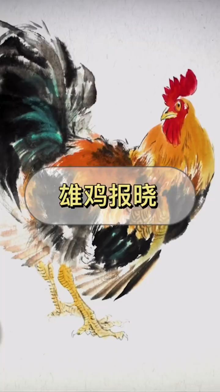 国画写意画雄鸡报晓
