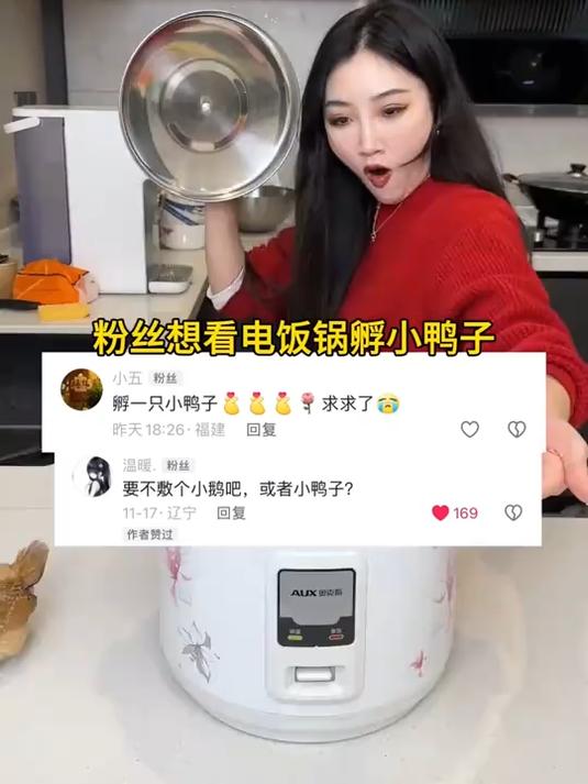 粉丝想看我用电饭锅孵小鸭子～