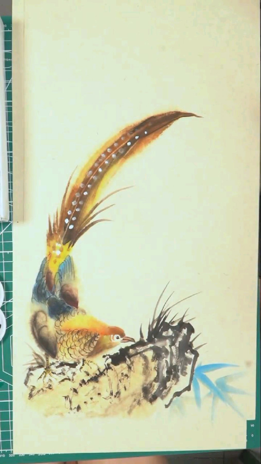 国画写意之锦鸡