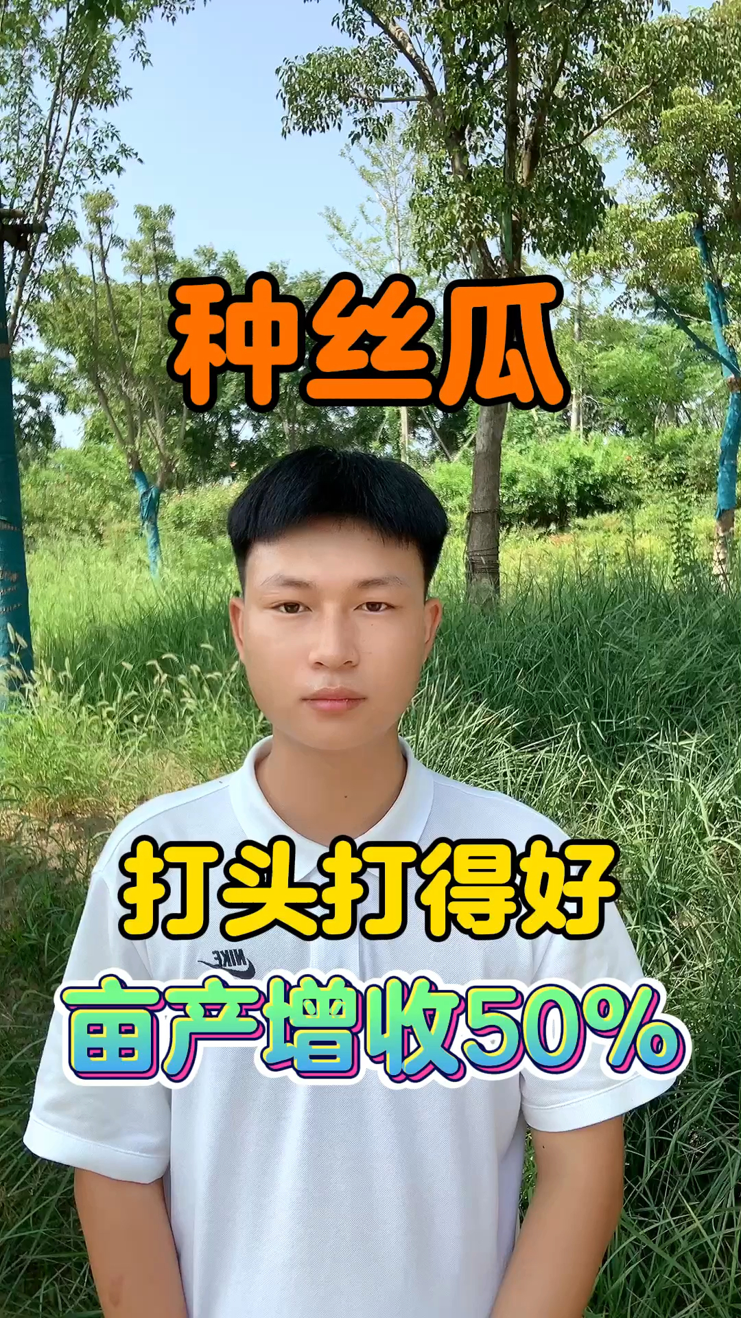 种丝瓜,打头打得好,亩产增收50%