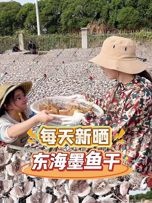 墨鱼干_肉质饱满_都是淡干淡晒煲鸡煲鸭煲排骨都是特别鲜美