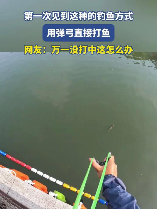 第一次见到这种的钓鱼方式,用弹弓直接打鱼