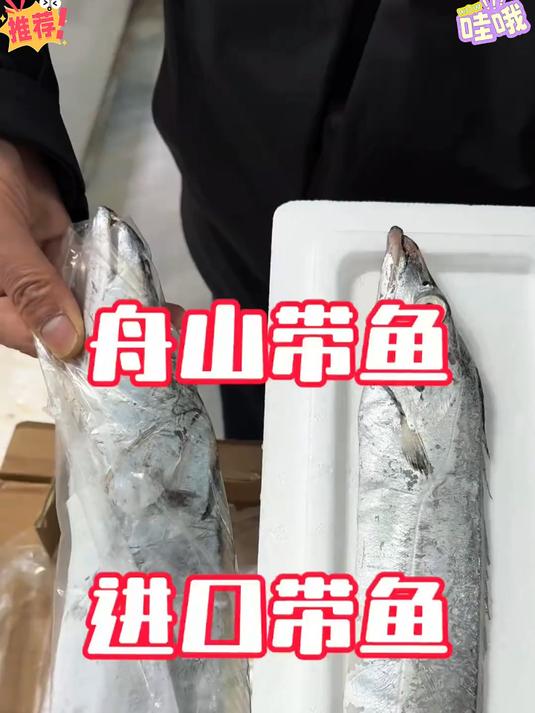正宗小眼带鱼，整条切段干净，煎焖炸煮都好吃，老少皆宜