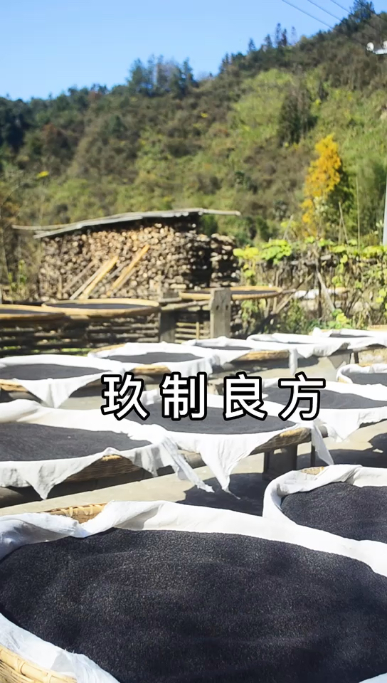 养生调理讲究食物平性,不能用一些偏性大的药材。  九蒸九晒黑芝麻丸在古书药性记载上,都有补