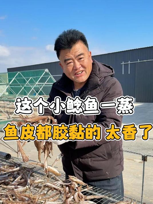 咱家的海鲶鱼去头去内脏,干干净净,吃着放心,口感艮啾啾