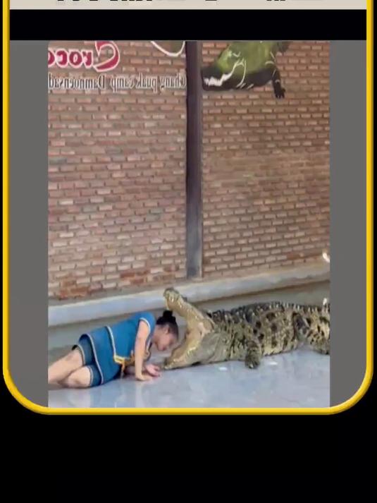 将头放进鳄鱼嘴里，为什么不会被鳄鱼咬