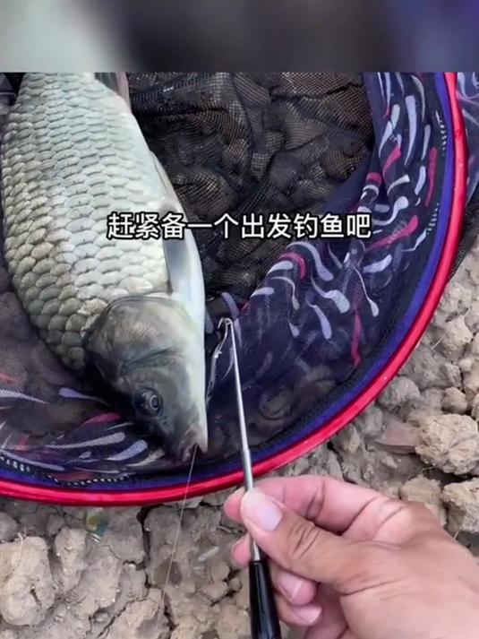 钓鱼黑科技！盲捅取钩器盲操作教学，野钓必备摘钩技巧