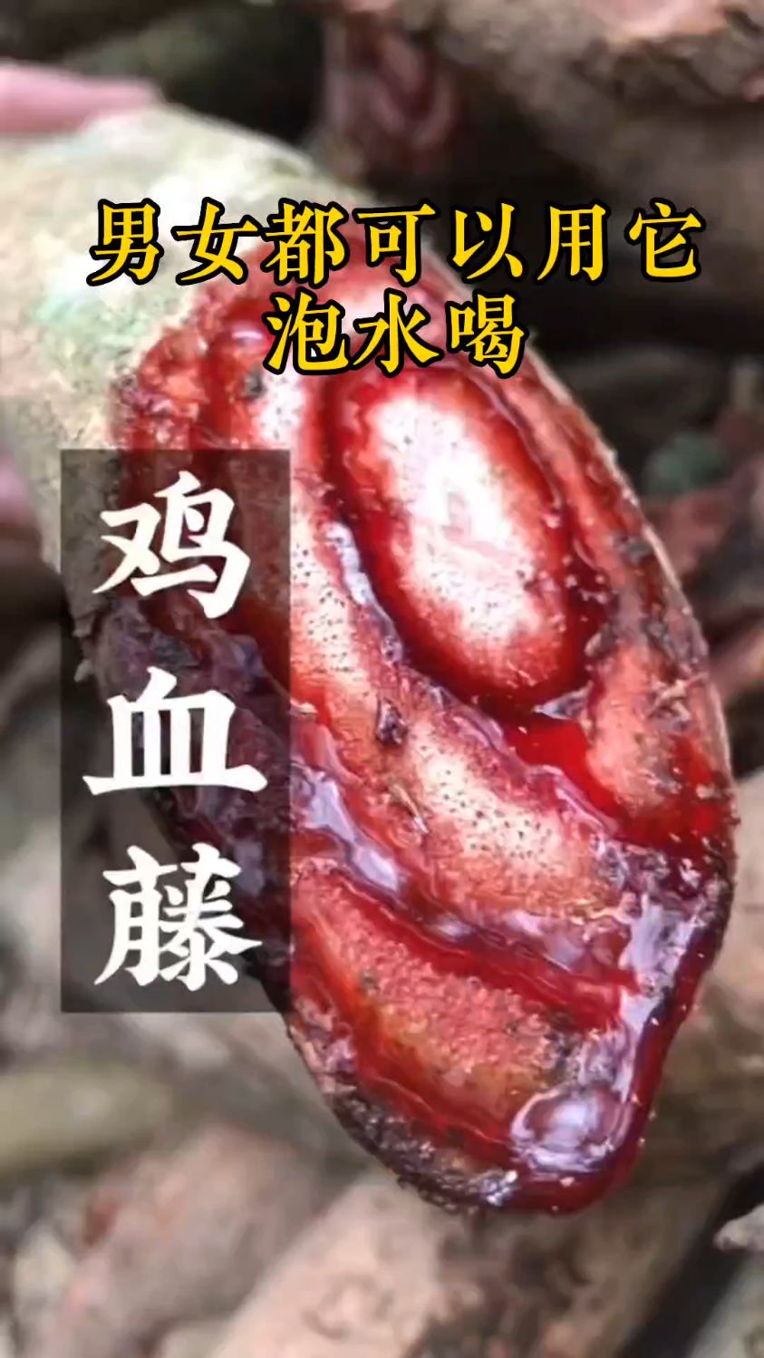 鸡血藤,女人的福音