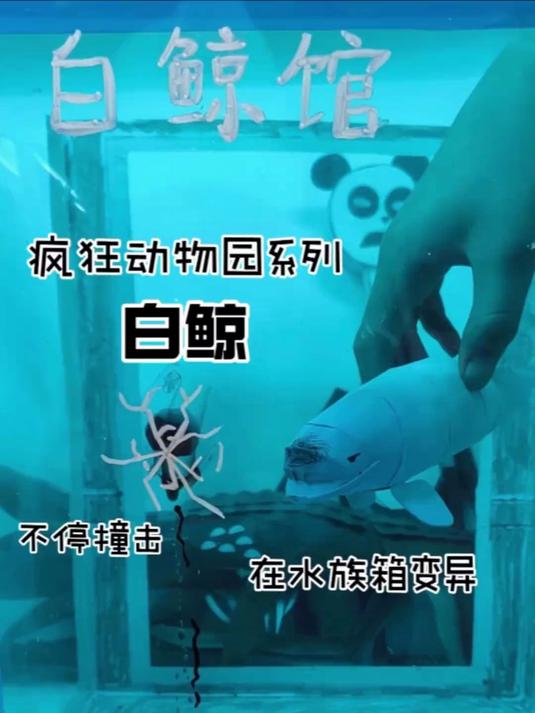 疯狂动物园变异的白鲸，原本在大海的它只能在小小的水族箱