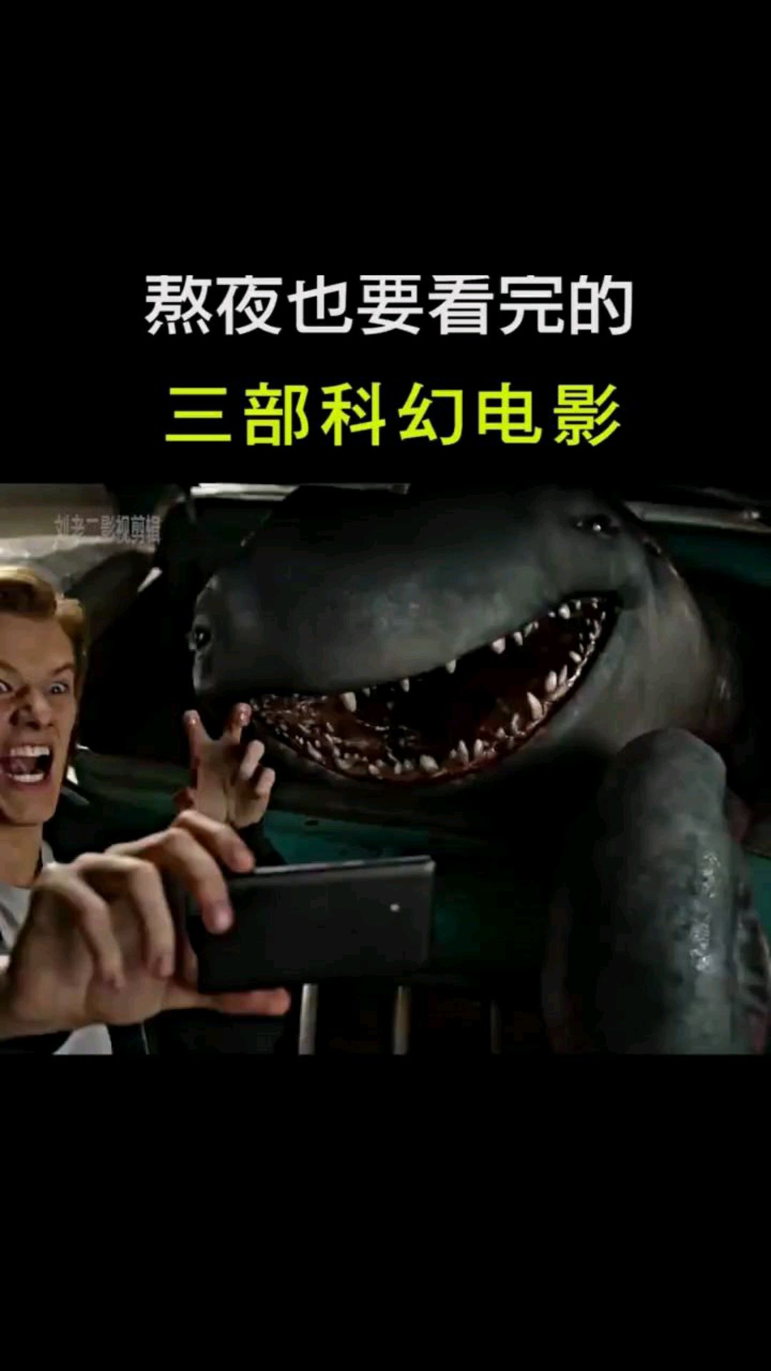 这些鲨鱼成精了