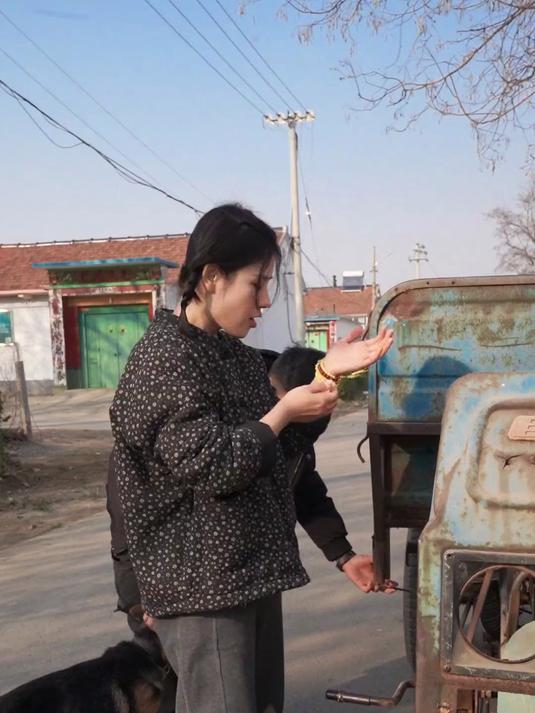 我实现白菜自由啦,寿光这片百亩大白菜,想吃的提曹子榆,好使~