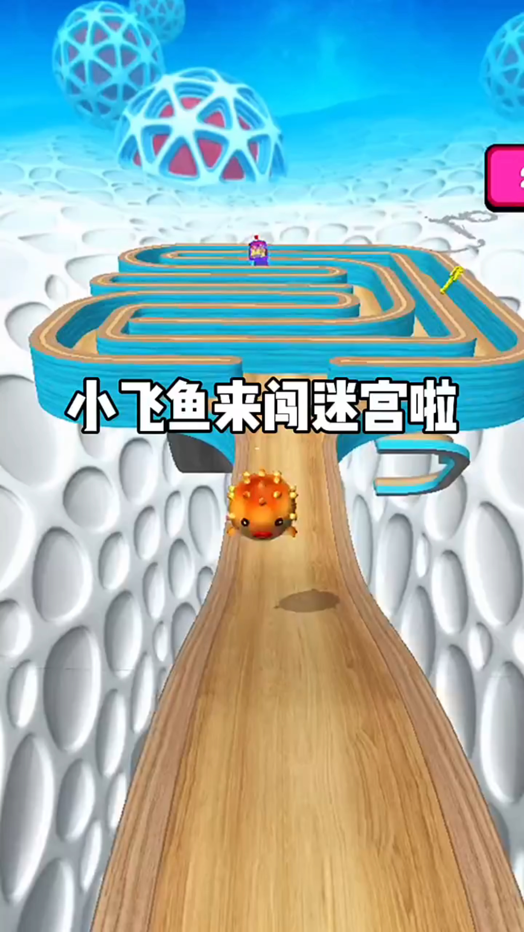 小飞鱼来闯迷宫啦!
