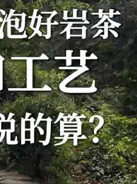 武夷山正岩茶制作正酣，想做好一泡好岩茶，山场和工艺究竟谁说的算？#武夷岩茶#