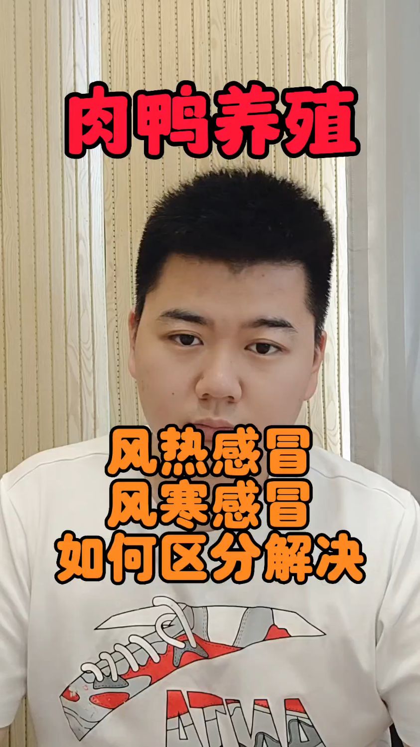 #鸭子风寒感冒和风热感冒的区别鸭子风寒感冒症状鸭子风热感冒怎么办鸭子感冒了会出现
