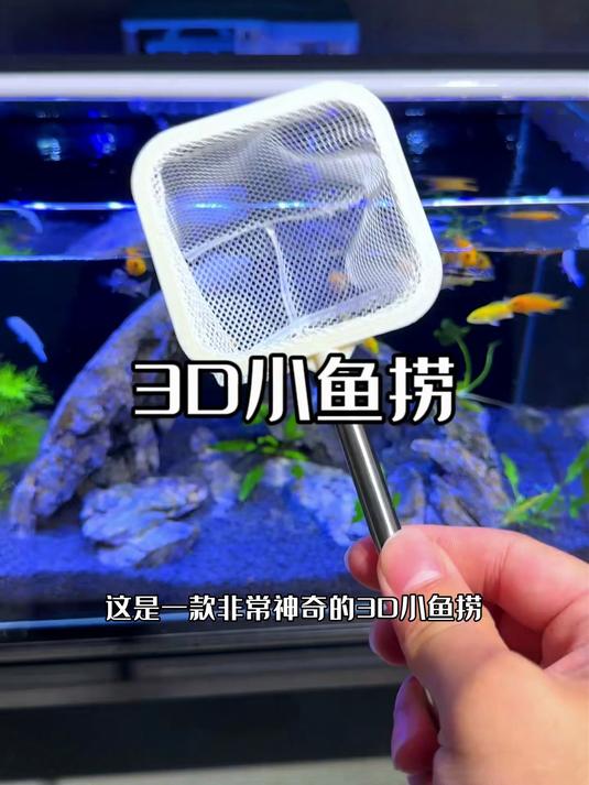就这3D小鱼捞!不伤鱼,易捞鱼,收纳还方便,关键还可伸缩#捞鱼#网兜捞鱼#