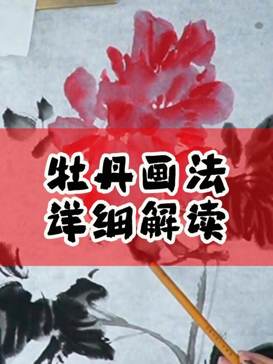 牡丹画法详细解读