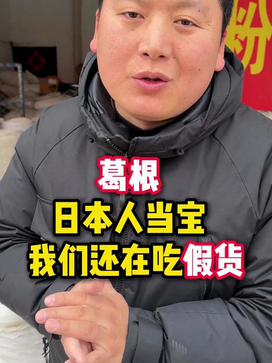 葛根,日本人当宝,我们还在吃假货
