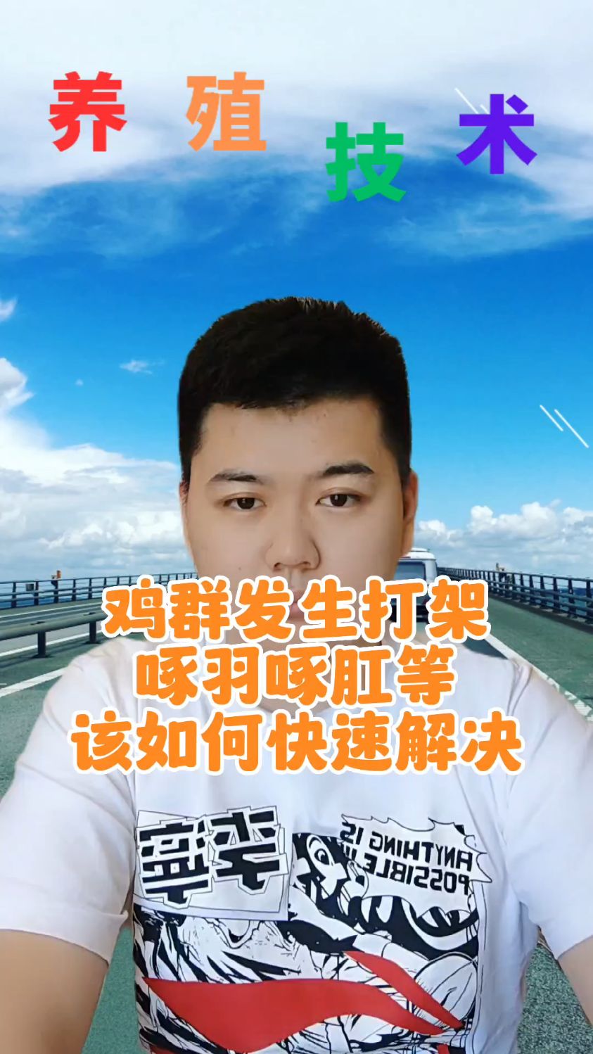 #鸡老是打架互相啄怎么办养的鸡互相啄是怎么回事为什么鸡老是啄其他的鸡鸡仔互相啄咋办