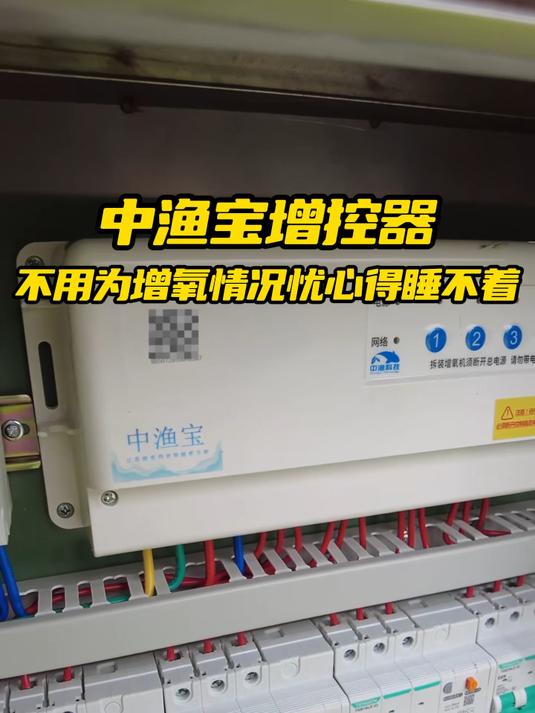 要是它早出来几年,我养鱼就不用天天熬夜了!