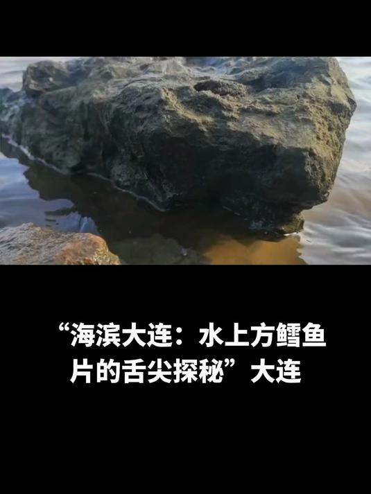 “海滨大连:水上方鳕鱼片的舌尖探秘”