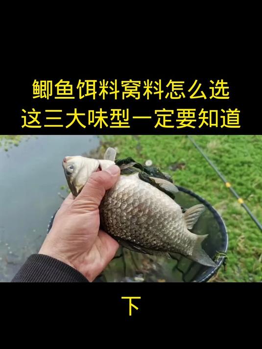 春季野钓鲫鱼，饵料窝料怎么选！这三大味型你一定要知道