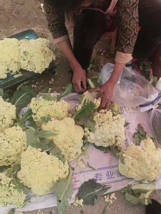 购两朵菜花,装好付完款,回家
