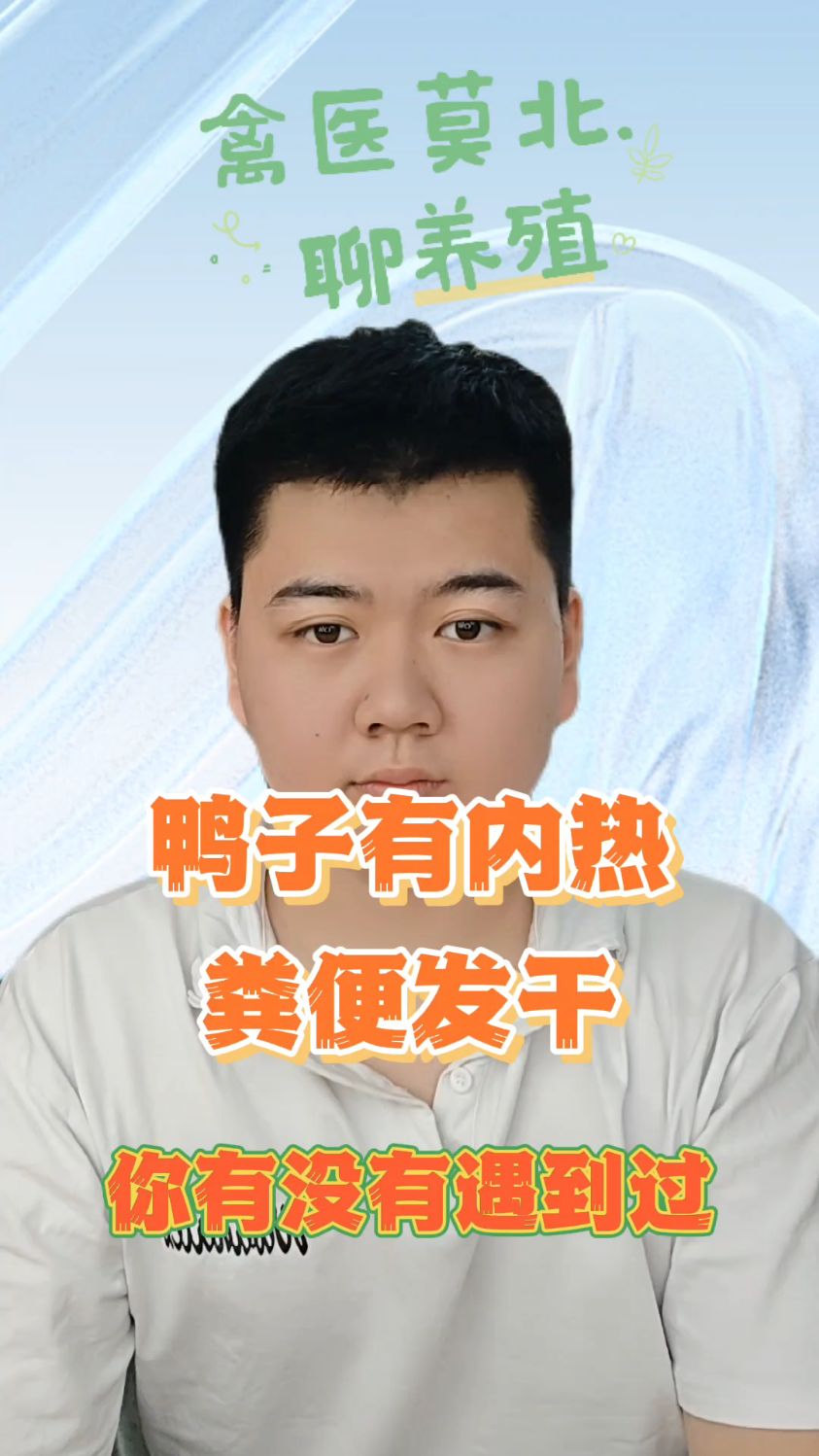 鸭子粪便干燥是什么原因鸭群内热的表现肉鸭内热有什么症状肉鸭内热用什么类型的药物
