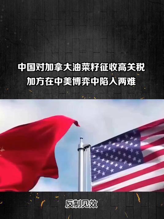 反制见效!中方订单归零,加拿大急派人访华,劝中国再买菜籽油