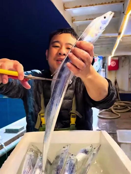 正宗舟山带鱼段!无冰衣肉质厚,清蒸香煎超省心