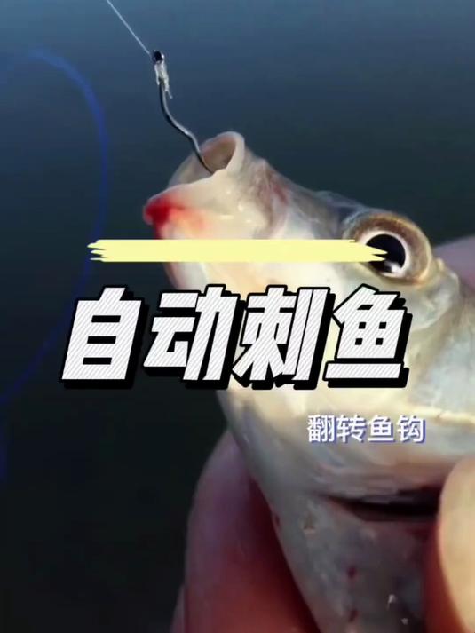 翻转钩子线 翻转鱼钩比普通鱼钩的钩柄处多了一个弯，鱼儿咬钩就会自动翻转刺鱼大大提高中鱼率#