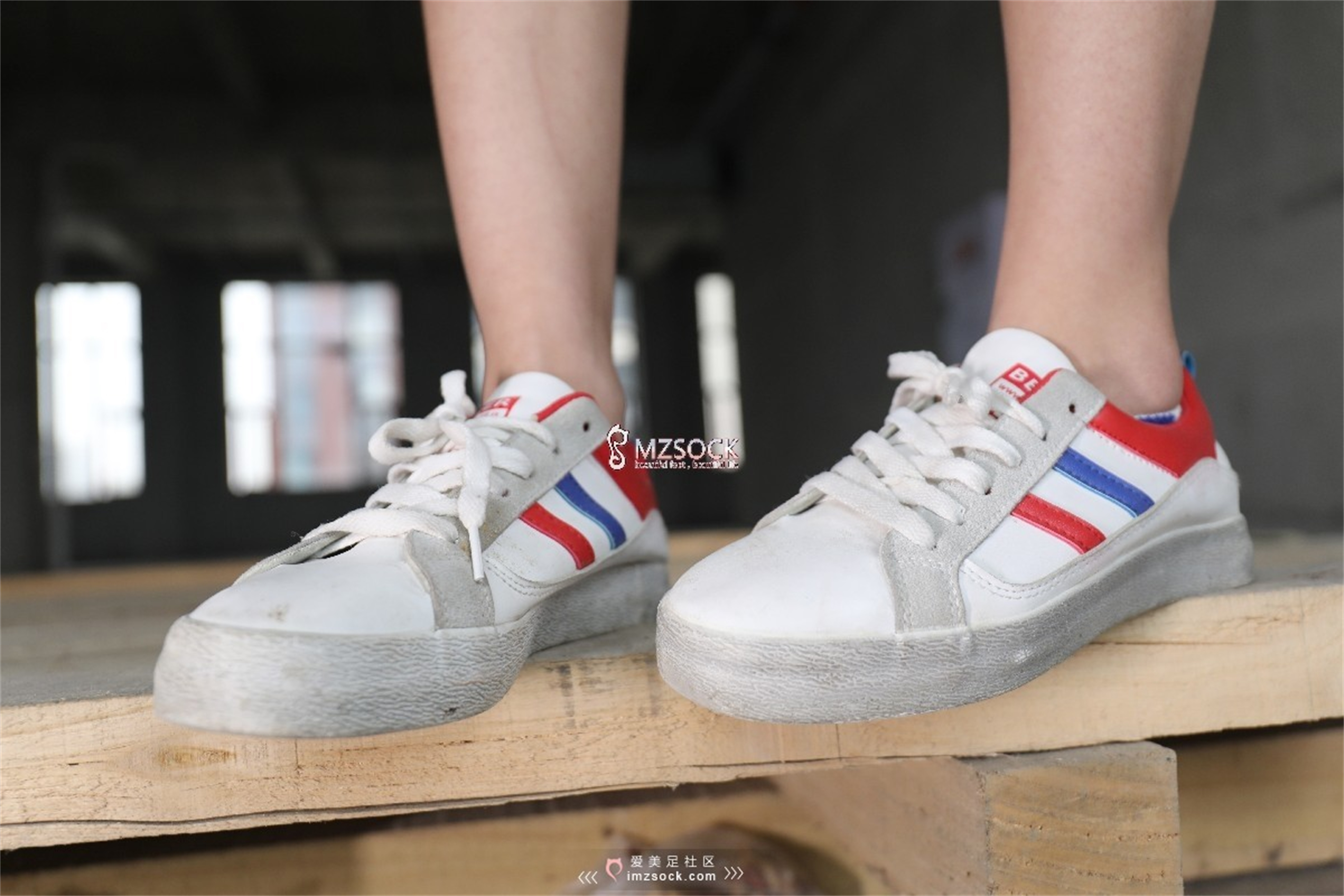 图片[89]-[MZSOCK]爱美足 NO.066 叮叮[102P238M]-六色网
