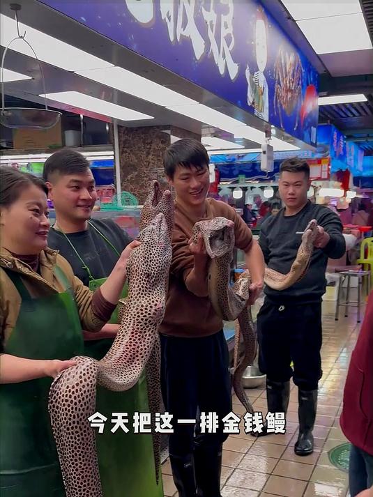 找了一年半才有的金钱鳗，这次跟粉丝们一起分享