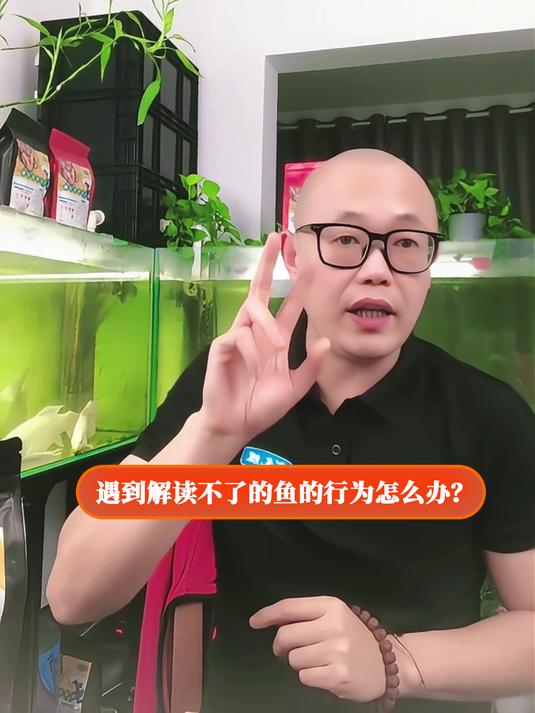 遇到解读不了的鱼的行为怎么办?