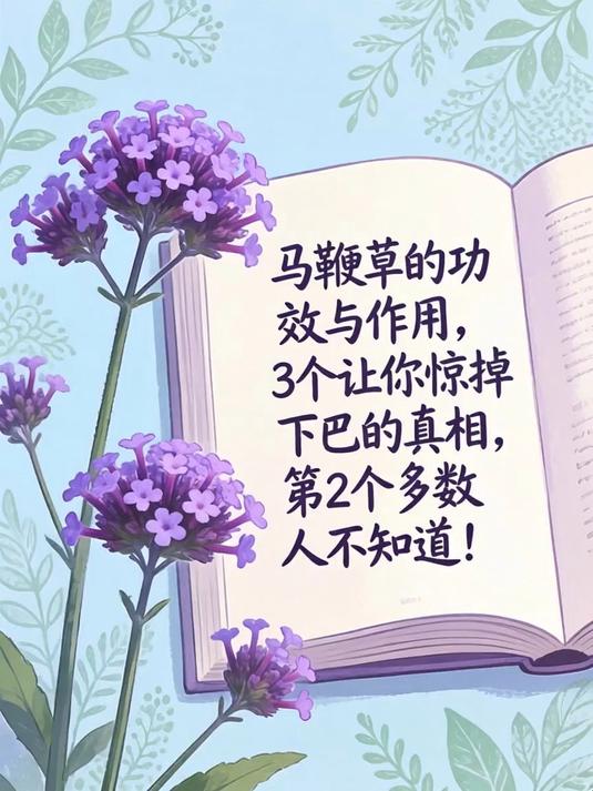 马鞭草的功效与作用，3个让你惊掉下巴的真相，第2个多数人不知道！