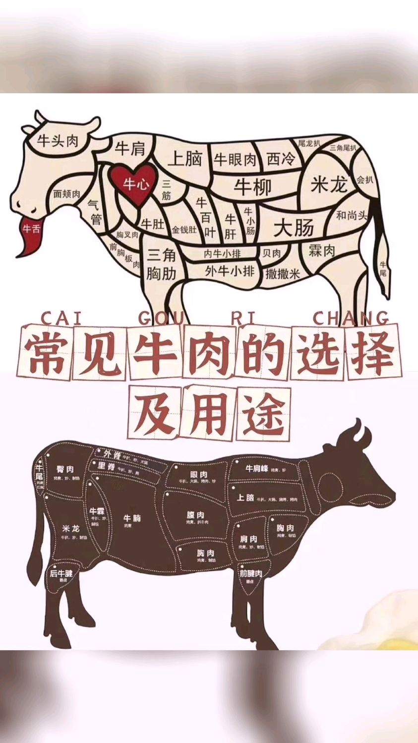 常见牛肉的选择及用途!我的美食日记,爱上我的厨房,食材分享