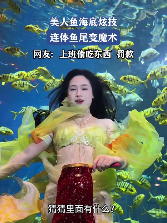 美人鱼海底炫技,连体鱼尾变魔术,网友:上班偷吃东西 罚款