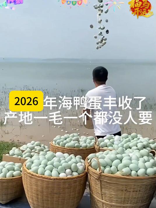 海鸭蛋北部湾松沙爆香流油红树林咸鸭蛋新鲜!