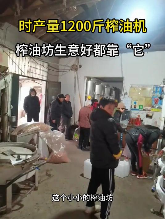 榨油坊生意好都靠它#全自动榨油机#冷热两用榨油机#菜籽榨油机#葵花籽榨油机#花生榨油机