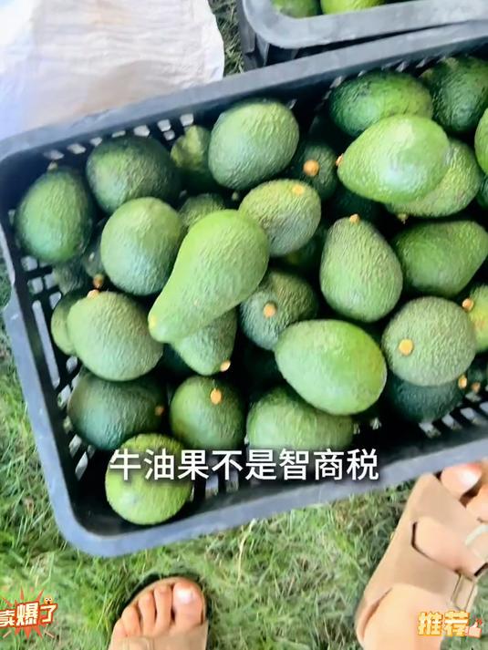 你爱吃牛油果吗?每天吃一个牛油果,身体会发生什么变化?