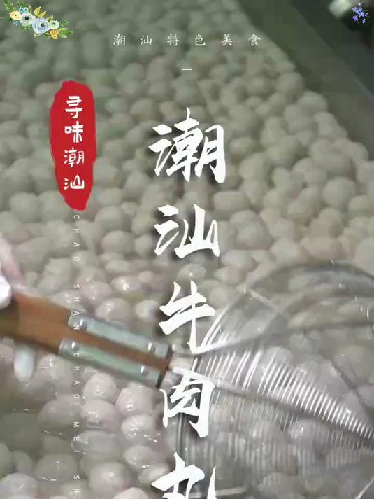 舌尖狂欢潮汕手打牛肉丸，弹牙爆汁，美味藏不住！
