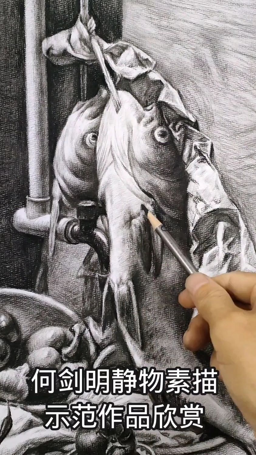 何剑明素描静物示范作品欣赏