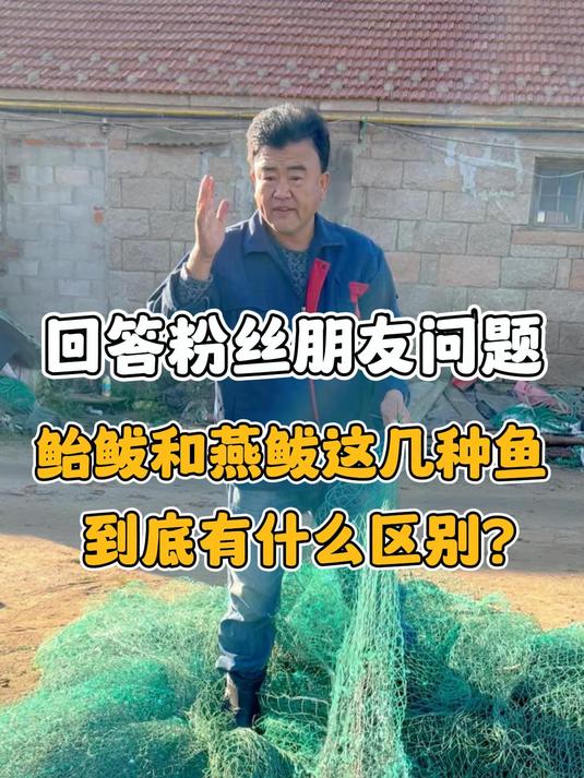 老海今天为大家解答鲐鲅与燕鲅这几种鱼到底有什么区别